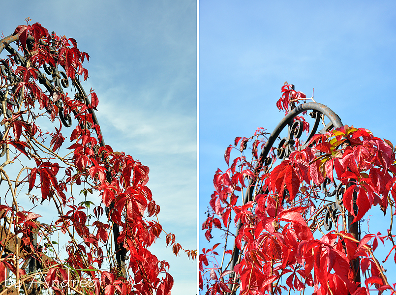 b2014-10-18 255a