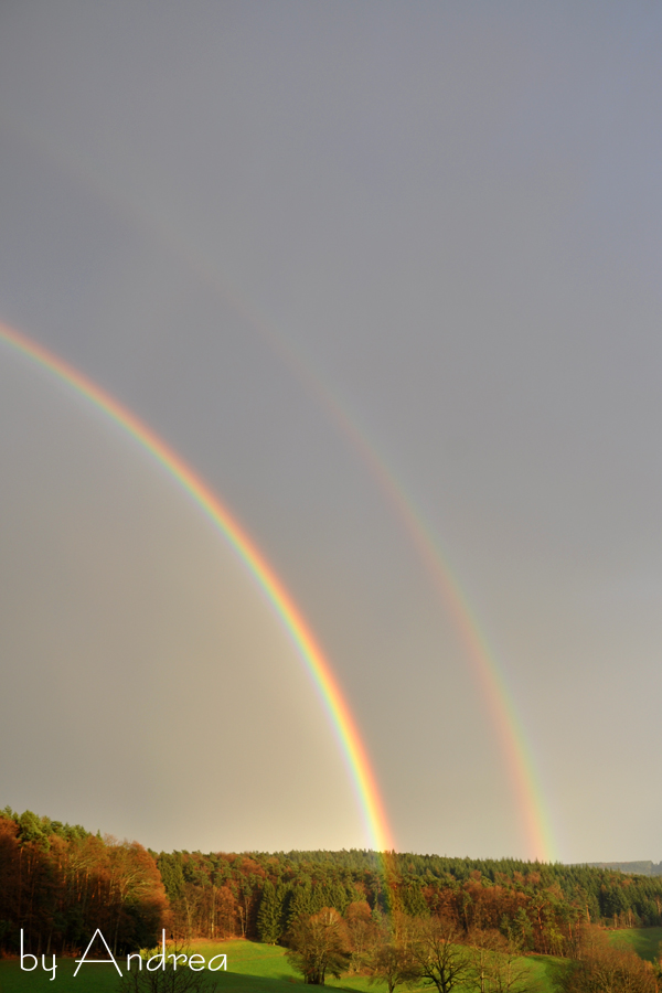 b2016-04-12 005