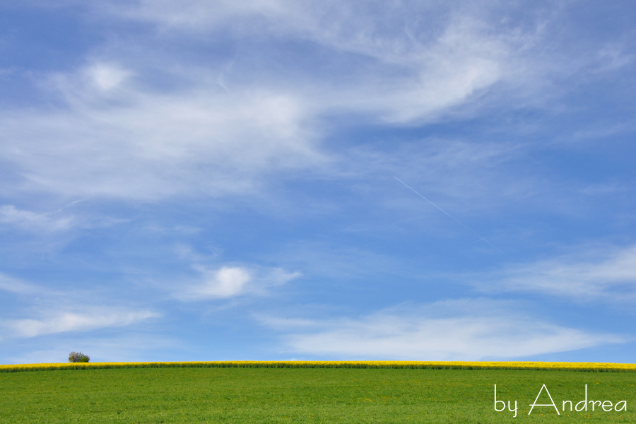 b2016-04-21 008