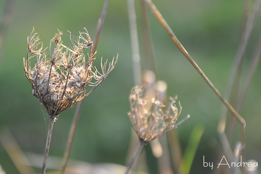 b2016-11-24-067